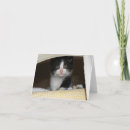 Search for tux kitten cards Feline