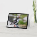 Search for puffin birthday cards Animal