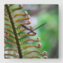 Search for curl posters Tropical
