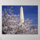 Search for flower festival posters Bloom