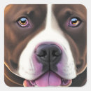 Search for staffies stickers Pet