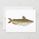 Search for catfish postcards River