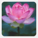 Search for pink lotus stickers Nature