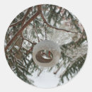Search for feeder stickers Tree