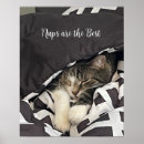 Search for sleeps posters Funny
