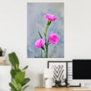 Search for carnation art Home