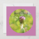 Search for flower red cards Pretty