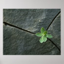 Search for bouldering posters Outdoors