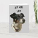 Search for dog get well cards Soon
