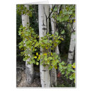 Search for lake birthday cards Autumn