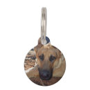 Search for german shepherd dog tags Alsatian