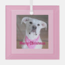 Search for eye glasses christmas tree decorations Puppy