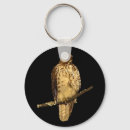 Search for red hawk key rings Wildlife