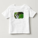 Search for duc tshirts Green