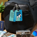 Search for jet set Aeroplane travel