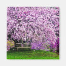 Search for bench magnets Landscape