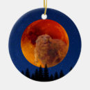 Search for full moon christmas tree decorations Astronomy
