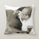 Search for bull terrier cushions Pit