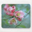 Search for blossoming mousepads Branch