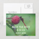 Search for dragonfly save the dates Insect