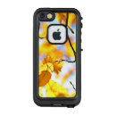 Search for autumn foliage iphone cases Colourful