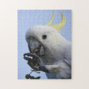 Search for australian birds puzzles Cockatoo