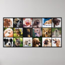 Search for for dog lovers posters Funny