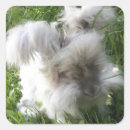 Search for angora stickers Cute