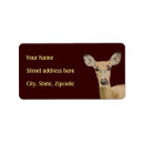 Search for white tailed deer return address labels Hunting