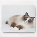 Search for veterinary electronics Cute