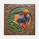 Search for frames magnets Colourful