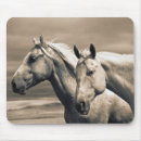 Search for quarter horses mousepads Danita delimont