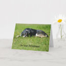 Search for enjoying retirement cards Dog