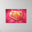 Search for biology canvas prints Colour image