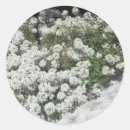Search for covering stickers Flowers