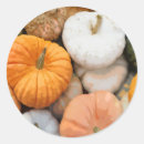 Search for squash stickers Gourd