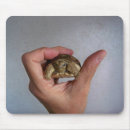 Search for tortoise mousepads Reptile