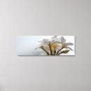 Search for plumeria canvas prints White