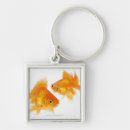 Search for sharing key rings Animal