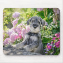 Search for schnauzer mousepads Flowers