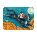 Search for scavenger magnets Cute