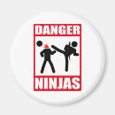 Search for ninja magnets Kanji