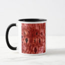 Search for cells mugs Abstract