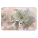 Search for apples magnets Botanical