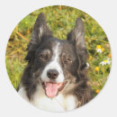 Search for smiling dog stickers Black