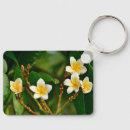 Search for frangipani key rings Plumeria