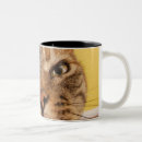 Search for sitting cat mugs Looking at camera