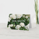 Search for white roses sympathy cards Flower