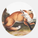 Search for fox illustration stickers Vintage