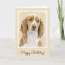 Search for welsh cards Welsh springer spaniel